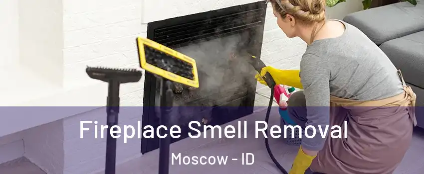  Fireplace Smell Removal Moscow - ID