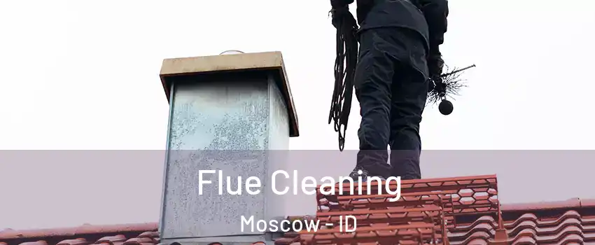  Flue Cleaning Moscow - ID