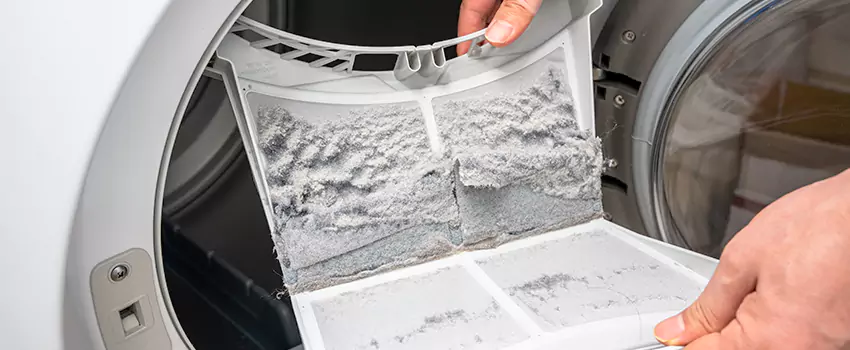 Best Dryer Lint Removal Company in Moscow, Idaho