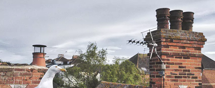 Chimney Cleaning And Restoration in Moscow, Idaho