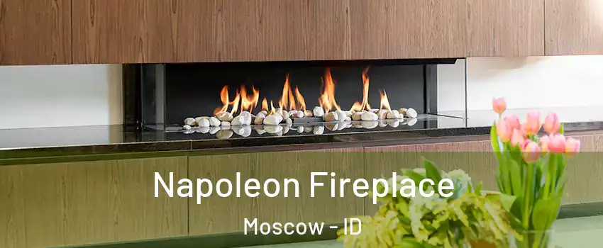  Napoleon Fireplace Moscow - ID
